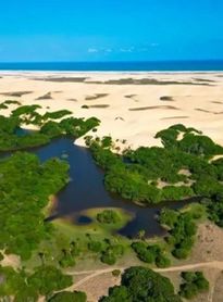 MPF recomenda medidas para proteger a APA de Piaçabuçu durante o carnaval de 2026