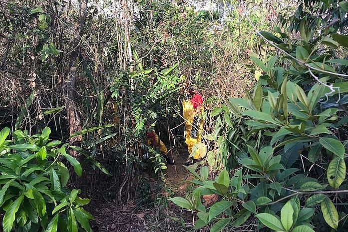 Bombeiros encontram cadáver em mata no Jardim Petrópolis