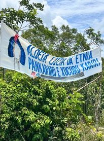 Sem território e serviços básicos, indígenas Pankararu recorrem à Justiça em Penedo