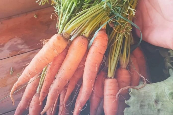 Produtos naturais, veganos e artesanais serão comercializados durante a feira