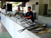 Feira do Peixe Vivo atrai consumidores de vários bairros