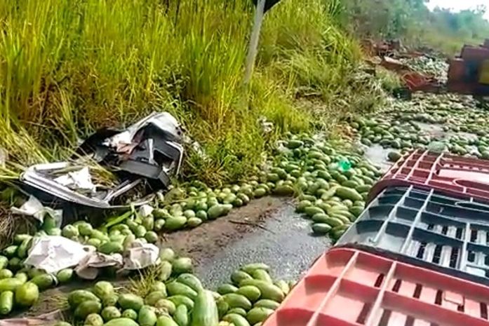 Carga de mamão ficou espalhada pela rodovia