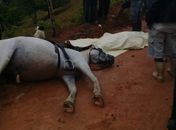 Homem morre após receber descarga elétrica na zona rural de Chã Preta