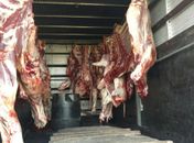 PRF apreende 1,5 de tonelada de carne transportada de forma irregular 