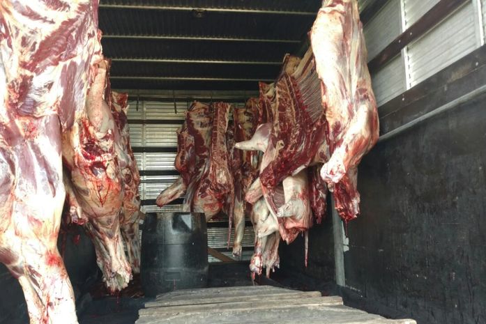 PRF apreende 1,5 de tonelada de carne transportada de forma irregular