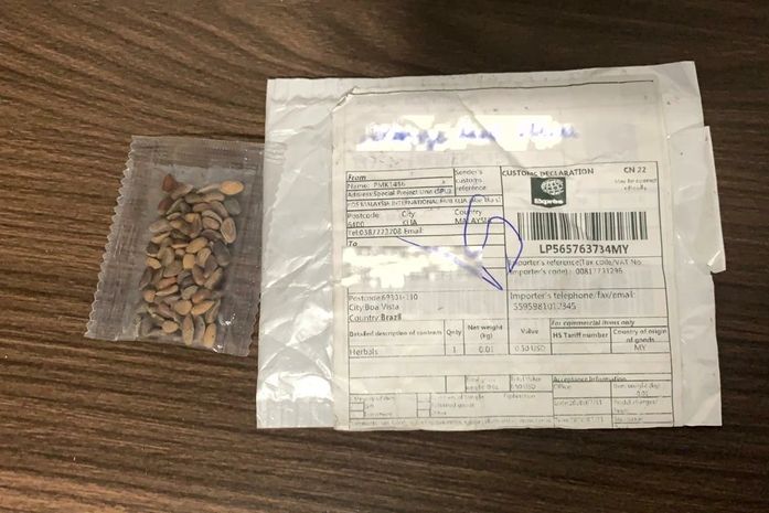 Alagoas tem 15 postos da Adeal e 69 escritórios para recolher "sementes misteriosas"