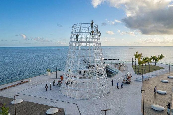 A árvore gigante da orla e o Natal da Discórdia dos tolos
