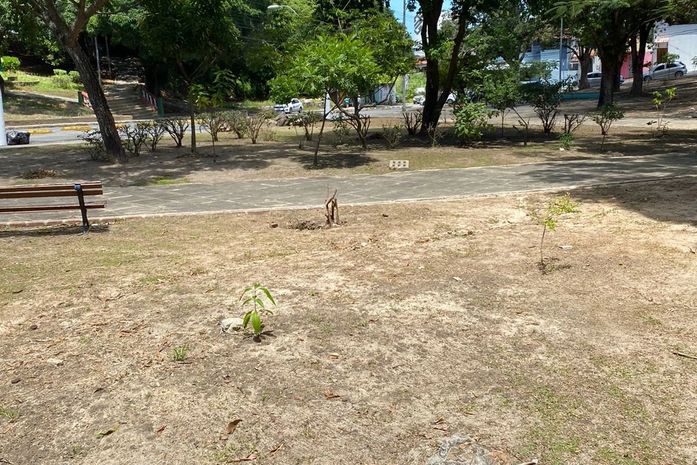 Desenvolvimento Sustentável realizou limpeza em mais de 60 praças da capital