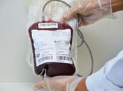 Coleta de sangue do Hemoal