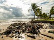 Após chuvas, mais de 600 toneladas de lixo são retiradas da Praia da Avenida