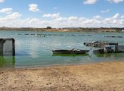 Invisíveis à margem do Perucaba