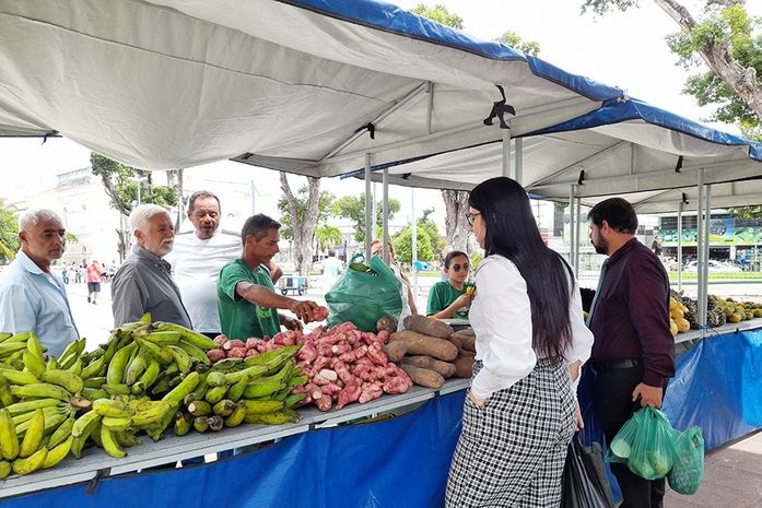 Justiça promove feira agroecológica nesta quarta (21) com sorteio de mudas e vale-compras
