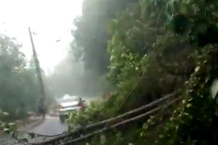 Árvore desliza de barreira, em Fernão Velho