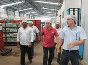 Vereadores inspecionam Avícola Luna após denuncias dos moradores do Laranjal 