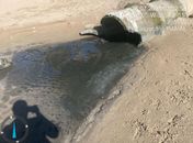 Empresa terá que cessar imediatamente o despejo de esgoto