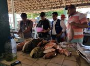 Procon inicia fiscalização de Páscoa