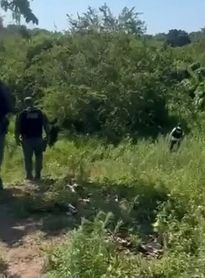 Polícia faz buscas em mata por armas ligadas a dupla tentativa de homicídio em AL