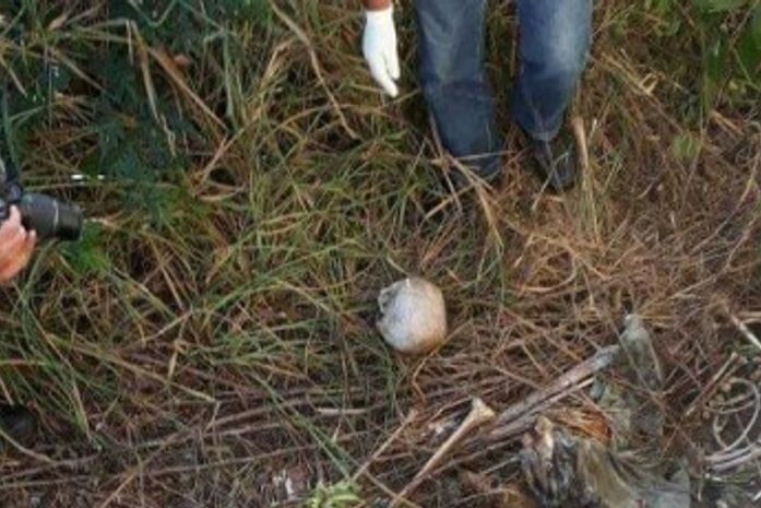 Ossada humana é encontrada em matagal no Agreste