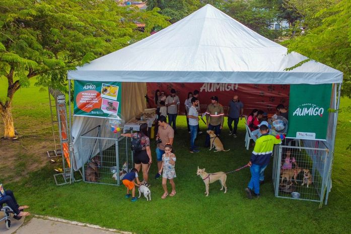 Parceria entre MVV e PetAki, "Feira Adote Um AUmigo" impulsiona novos lares para cães