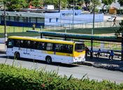 Nova linha de ônibus atenderá Litoral Norte a partir deste sábado