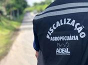 Carga de carne avaliada em R$ 50 mil é apreendida durante transporte clandestino 