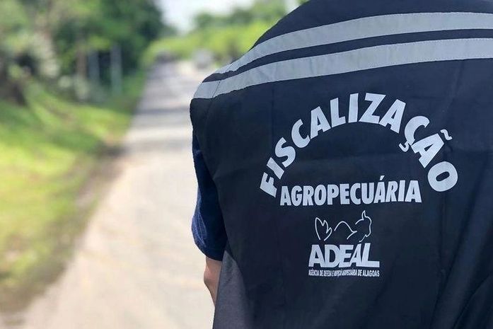 Carga de carne avaliada em R$ 50 mil é apreendida durante transporte clandestino