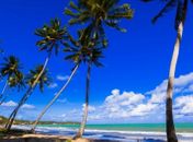Turistas que vierem apreciar as belezas naturais de Alagoas serão conscientizados sobre os cuidados na contratação de serviços turísticos