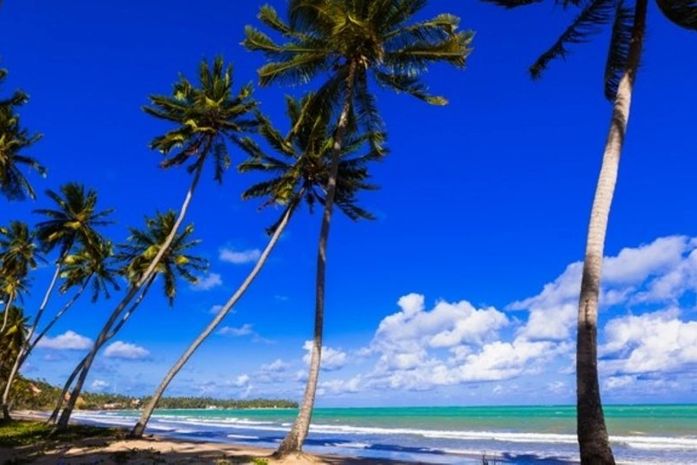 Turistas que vierem apreciar as belezas naturais de Alagoas serão conscientizados sobre os cuidados na contratação de serviços turísticos