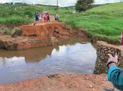 Ponte desaba e deixa duas comunidades isoladas em Arapiraca