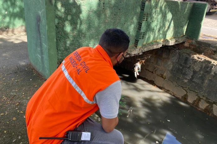 Vistoria começou nesta segunda-feira