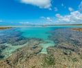 Praia de Alagoas é considerada uma das 100 melhores do mundo