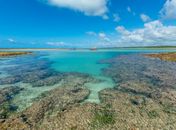 Praia de Alagoas é considerada uma das 100 melhores do mundo