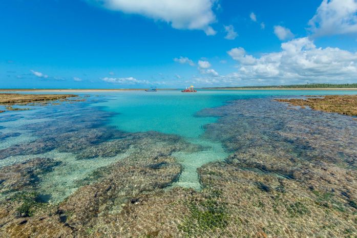 Praia de Alagoas é considerada uma das 100 melhores do mundo