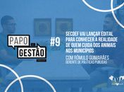 Papo de Gestão #9: Secdef vai lançar edital para conhecer a realidade de quem cuida dos animais nos municípios