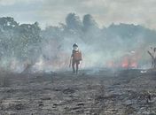 Incêndio de grandes proporções é registrado próximo de tubulação da Petrobrás em Pilar e Corpo de Bombeiros é acionado
