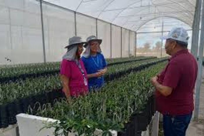 Adeal certifica viveiro de mudas de citros em Arapiraca