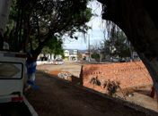 Praça das Casuarinas em Palmeira, prefeito promoverá audiência pública de 'faz de contas'