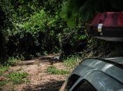 Acusado de matar alagoana confessa crime e é preso em São Paulo