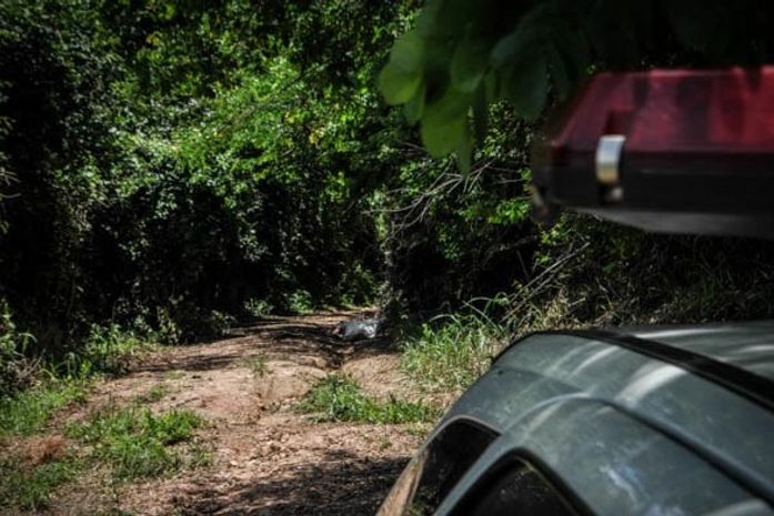 Acusado de matar alagoana confessa crime e é preso em São Paulo