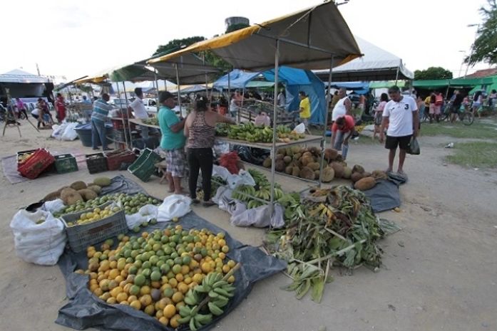 Feira Agrária