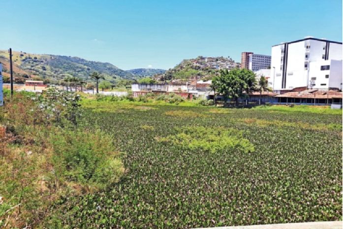 Candidatos em Palmeira revelam descaso com obras paralisadas