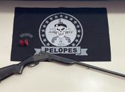 Suspeito é preso com arma ao lado da cama durante ação policial no inteior de AL
