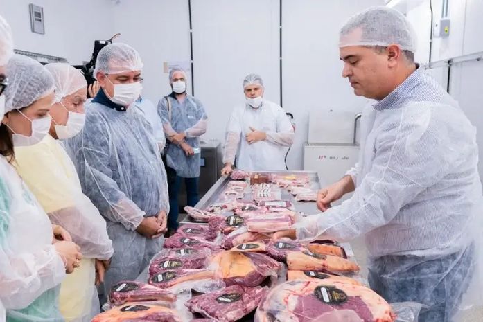 Cooperativa alagoana conquista certificação e amplia mercado para gado de corte