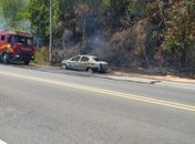 Veículo pega fogo em trecho da AL-101 Norte