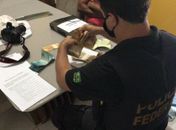 Polícia Federal deflagra operação em AL contra fraudes no seguro-desemprego; veja vídeo  