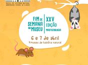 Fim de Semana no Museu traz edição sobre pequenos mamíferos