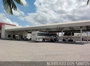 Pandemia avança em Arapiraca, chegada de ônibus  concorre para aumentos dos casos de Covid-19