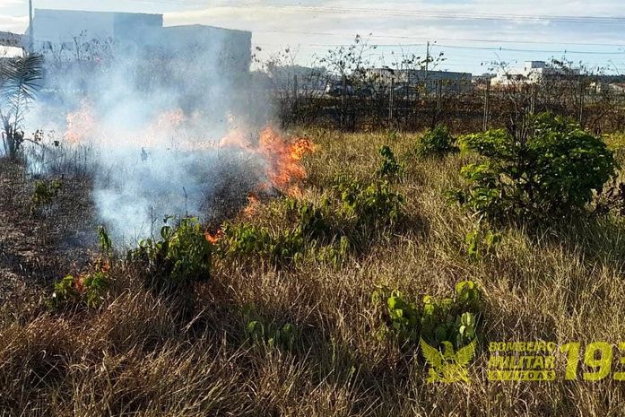 Incêndio de médias proporções atinge vegetação no Litoral Sul