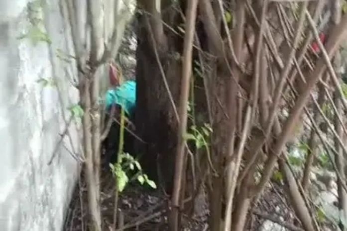 Homem tenta fugir, se esconde em terreno e é executado a tiros na parte alta de Maceió