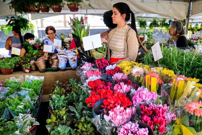 Maceió recebe a 15ª edição do Festival das Flores de Holambra nesta na quinta-feira (2)